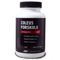 Coleus forskohlii (90капс)