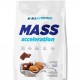 Mass Acceleration (1000г)