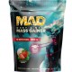 Mass Gainer Whey & Beef (1000г)