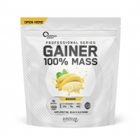 100% MASS GAINER (1кг)